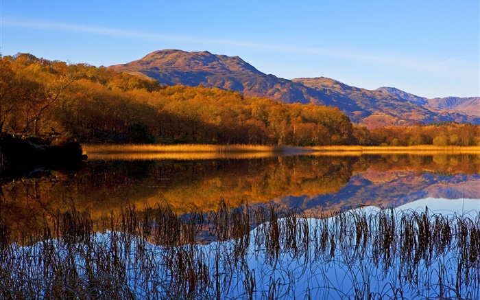 Озеро, трава, деревья, горы, осень обои,s изображение