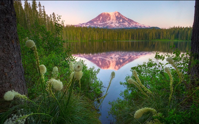 Озеро, горы, трава, деревья, отражение, рассвет обои,s изображение