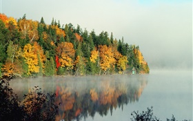 Озеро, деревья, туман, утро, осень