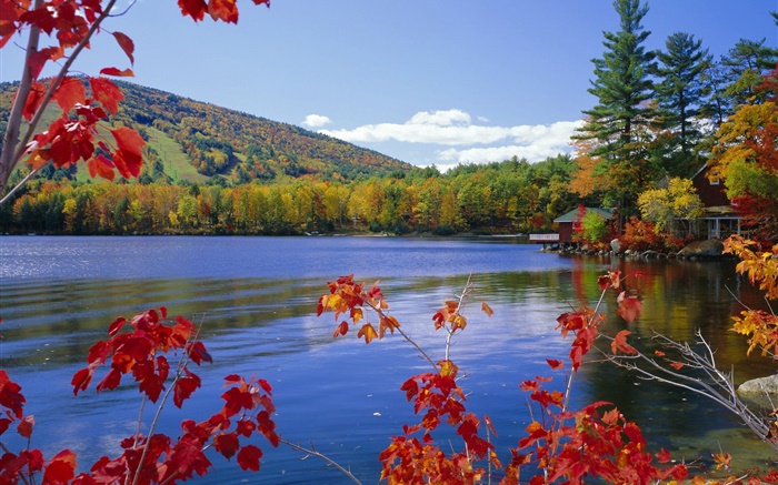 Озеро, деревья, дом, осень обои,s изображение