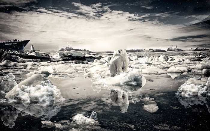 Одинокий медведь, снег, море, креативные фотографии обои,s изображение