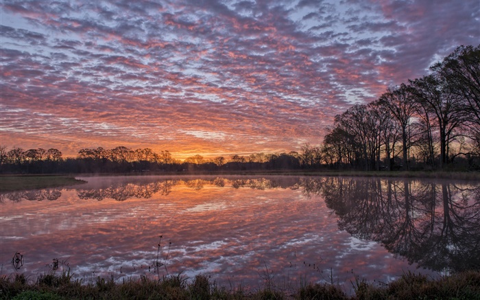 Луизиана США, река, берег, вода отражение, деревья, облака, закат обои,s изображение