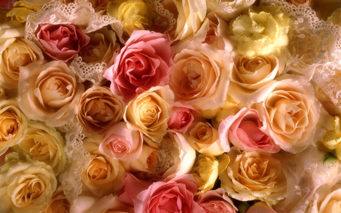 Многие розы цветы, желтый и розовый обои,s изображение