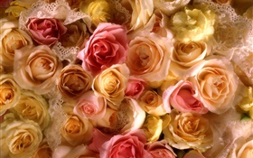 Многие розы цветы, желтый и розовый