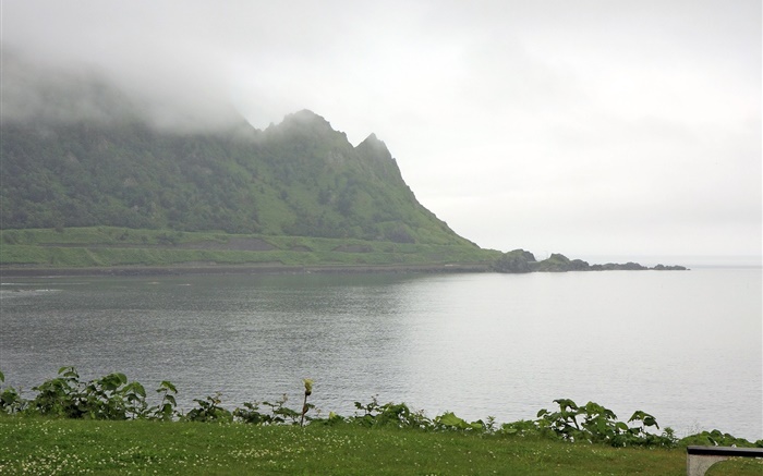 Утро, туман, горы, море, берег, трава, Хоккайдо, Япония обои,s изображение
