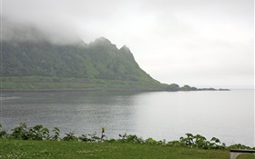 Утро, туман, горы, море, берег, трава, Хоккайдо, Япония HD обои