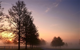 Утро, туман, деревья, дороги, восход солнца