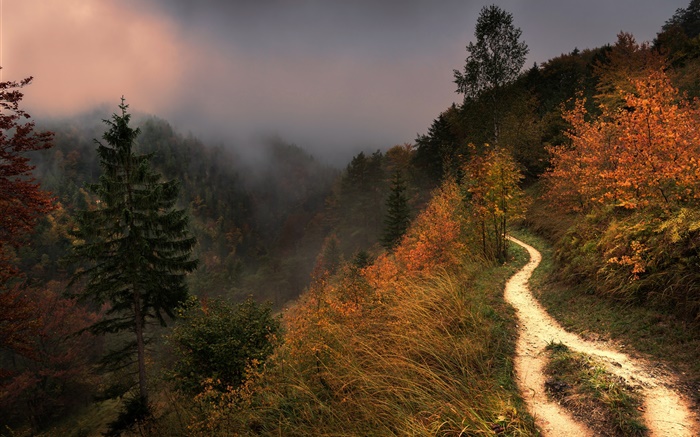 Горы, туман, деревья, тропинка, осень обои,s изображение