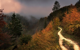 Горы, туман, деревья, тропинка, осень HD обои
