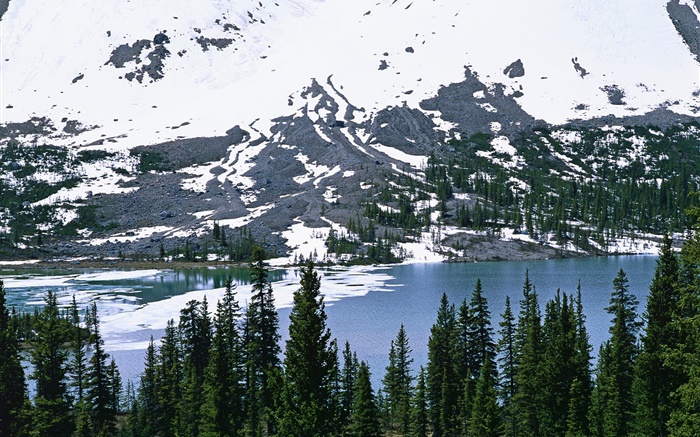 Горы, снег, река, деревья обои,s изображение