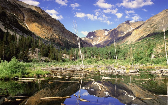Горы, лес, деревья, озеро, отражение воды обои,s изображение