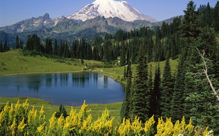 Горы, лес, деревья, озеро обои,s изображение
