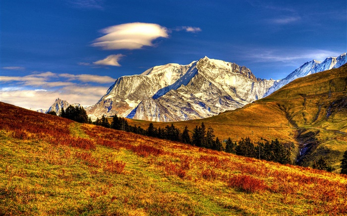 Горы, трава, деревья, осень, голубое небо обои,s изображение