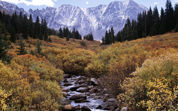 Горы, деревья, ручей, камни обои,s изображение