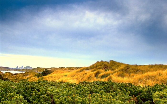 Природа пейзаж, трава, голубое небо, облака обои,s изображение