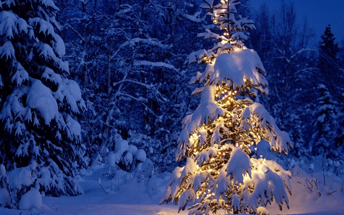 Ночь, деревья, огни, толстый снег, Рождество обои,s изображение
