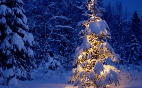 Ночь, деревья, огни, толстый снег, Рождество