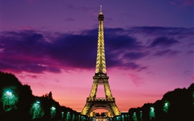Ночной вид на Эйфелеву башню, свет, Париж, Франция