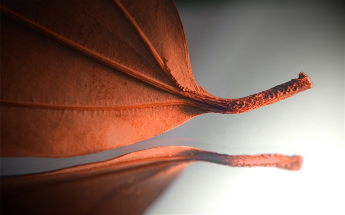 Оранжевый лист, творческие фотографии обои,s изображение