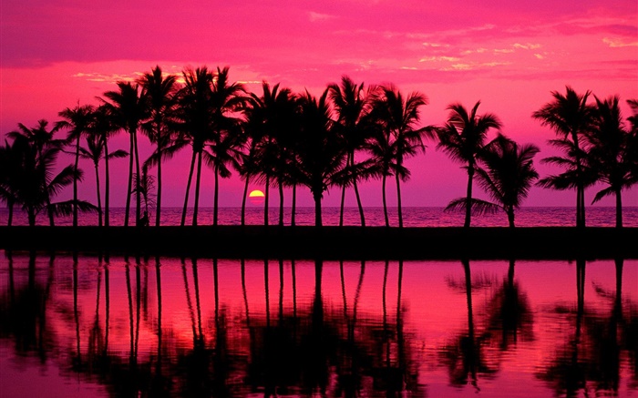 Пальмы, эскиз, красное небо, закат, море обои,s изображение
