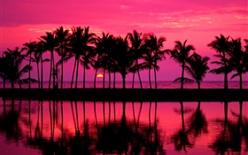 Пальмы, эскиз, красное небо, закат, море HD обои