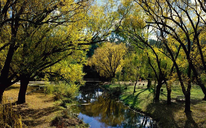 Парк, река, деревья, Австралия обои,s изображение