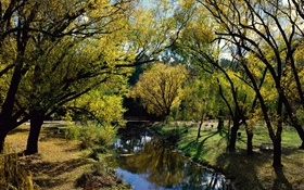 Парк, река, деревья, Австралия HD обои
