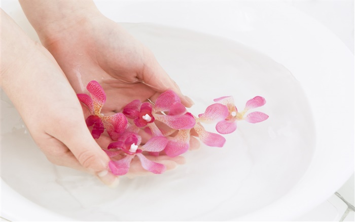 Розовые орхидеи лепестки цветов, вода, руки обои,s изображение