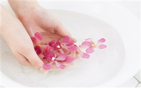 Розовые орхидеи лепестки цветов, вода, руки HD обои
