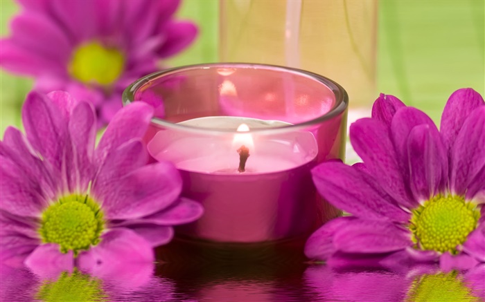 Фиолетовый цветы хризантемы, свеча, огонь, SPA тема обои,s изображение