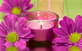 Фиолетовый цветы хризантемы, свеча, огонь, SPA тема HD обои