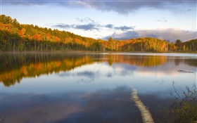 Тихое озеро, деревья, туман, утро, осень