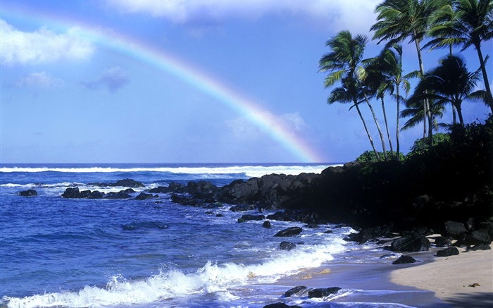 Радуга, синее море, берег, пальмы, Гавайи, США обои,s изображение