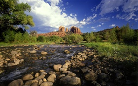 Красная скала пересечения, камни, река, трава, Седона, штат Аризона, США