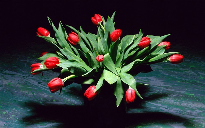 Красный тюльпан цветы, букет, ваза обои,s изображение