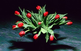 Красный тюльпан цветы, букет, ваза HD обои