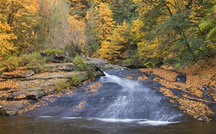Река, деревья, осень обои,s изображение