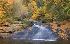 Река, деревья, осень HD обои