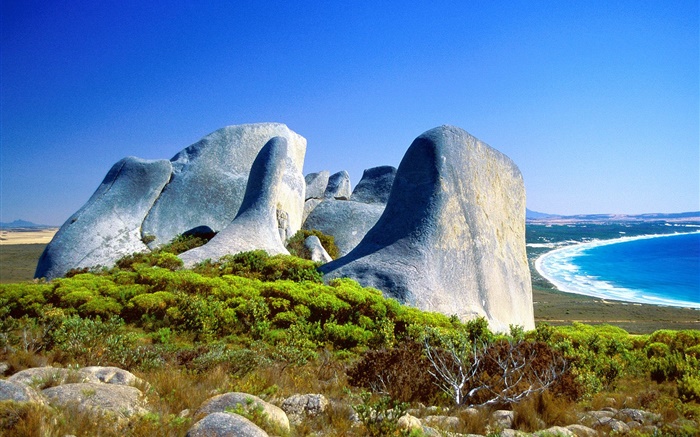 Скалы, трава, берег, синее море, Австралия обои,s изображение