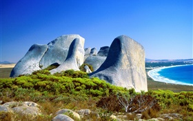 Скалы, трава, берег, синее море, Австралия HD обои