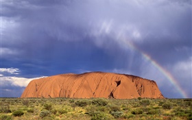 Скалы горы, трава, пустыня, Австралия HD обои