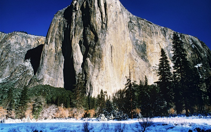 Скалы горы, деревья, зима, снег обои,s изображение