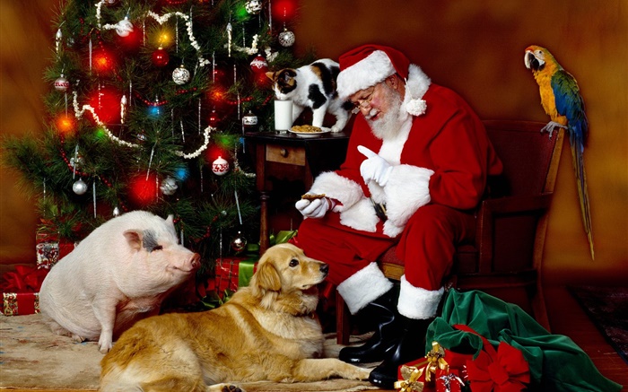 Санта-Клаус и животные, рождественские огни обои,s изображение