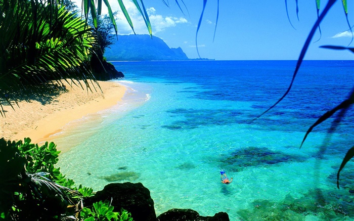 Море, чистая вода, берег, плавать, Гавайи, США обои,s изображение