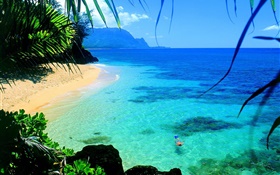 Море, чистая вода, берег, плавать, Гавайи, США HD обои