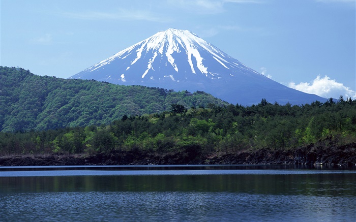 Море, лес, гора Фудзи, Япония обои,s изображение