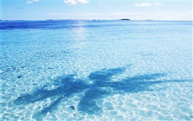 Море, вода синий, блики, волны, тени, Мальдивские о-ва HD обои