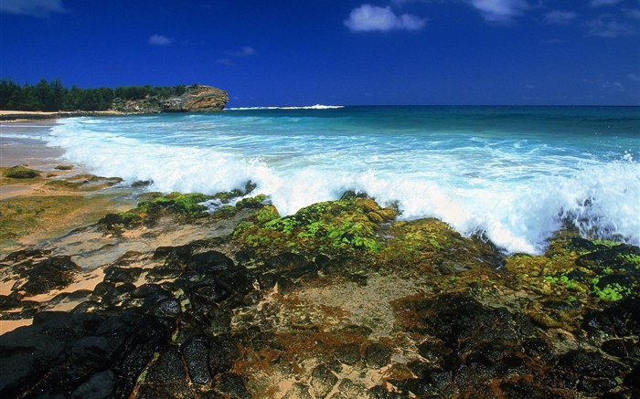 Морские волны, побережье, закат, Гавайи, США обои,s изображение