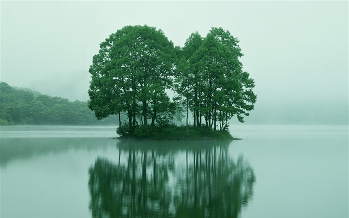 Небольшой остров в озере центре, деревья, Токио, Япония обои,s изображение