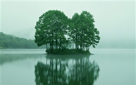 Небольшой остров в озере центре, деревья, Токио, Япония HD обои